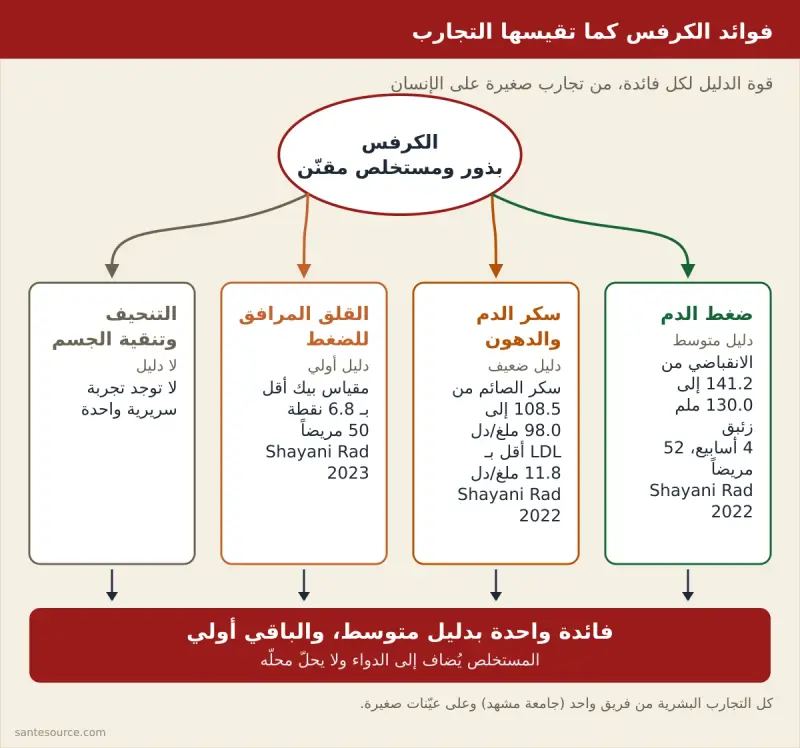خريطة ذهنية لفوائد الكرفس المدروسة: ضغط الدم وسكر الدم والدهون والقلق، مع قوة الدليل لكل فائدة