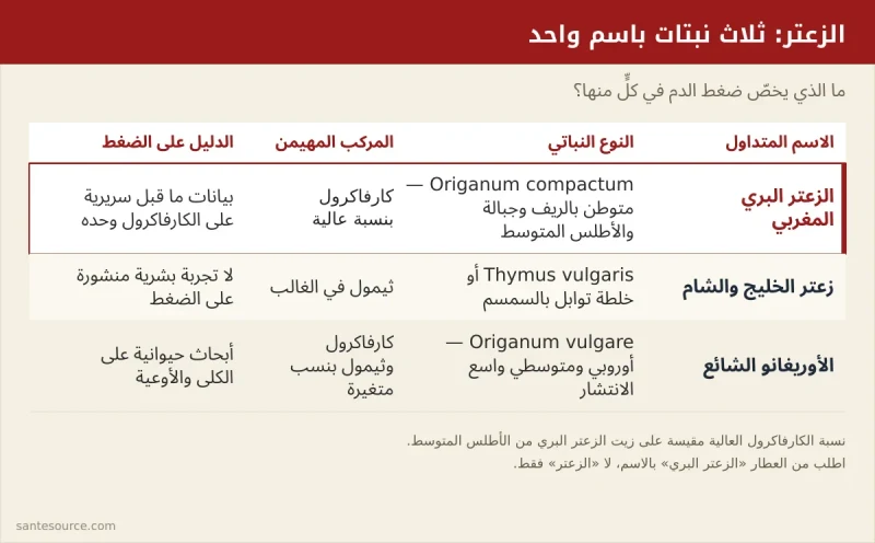 بطاقة مقارنة بين الزعتر البري المغربي Origanum compactum وزعتر الخليج Thymus vulgaris والأوريغانو الشائع