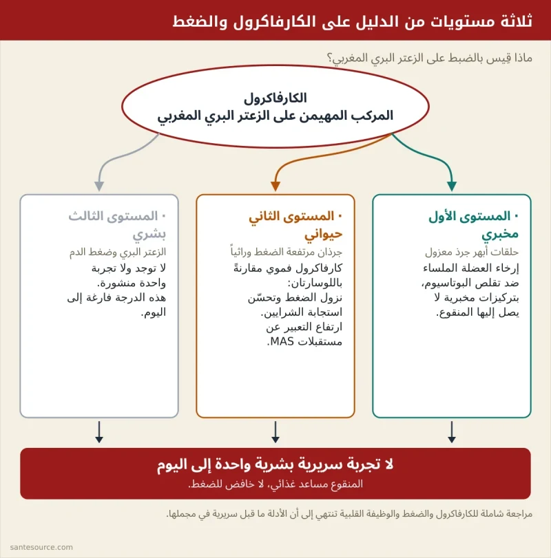 مخطط يوضح مستويات الدليل الثلاثة على الكارفاكرول والضغط: مخبري، حيواني، وغياب التجربة البشرية