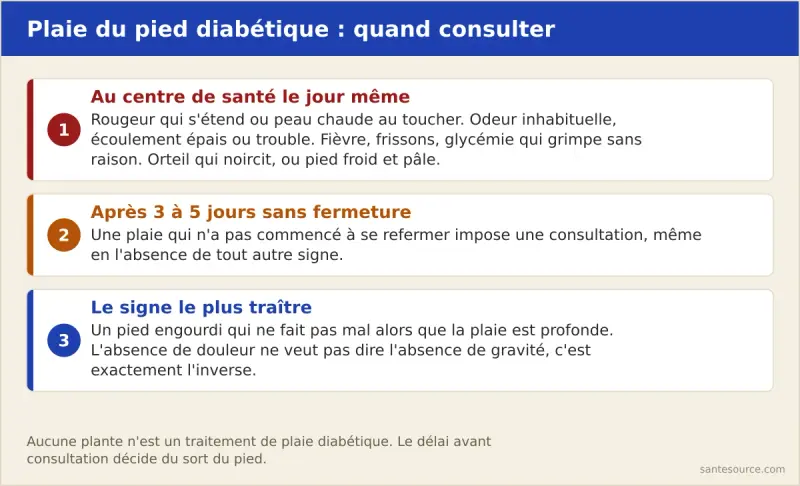 Arbre de décision : plaie du pied chez un diabétique, signes imposant une consultation le jour même et signes imposant une consultation sous 24 heures