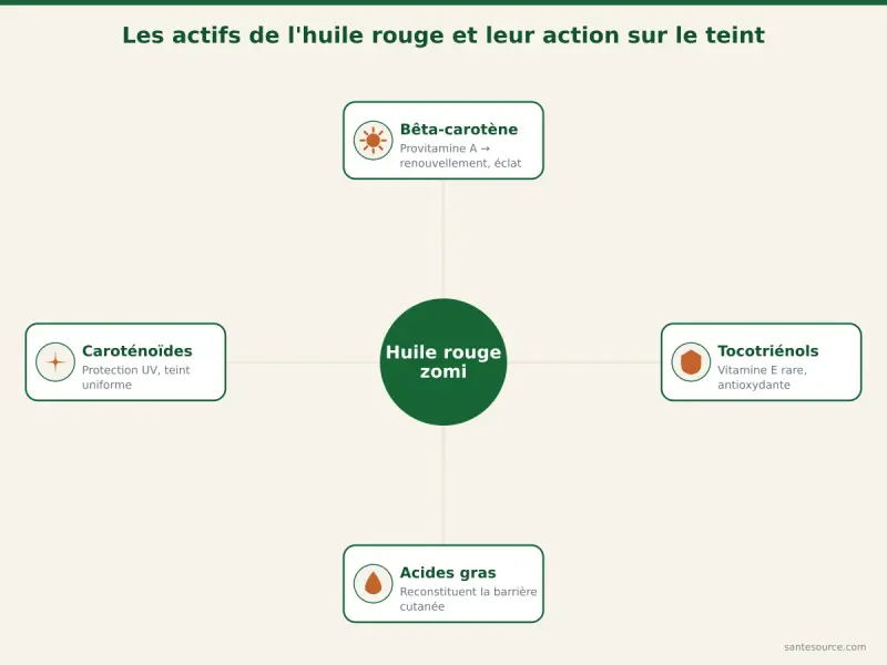 Carte mentale des actifs de l'huile de palme rouge pour la peau : bêta-carotène, tocotriénols, acides gras et leurs effets éclat