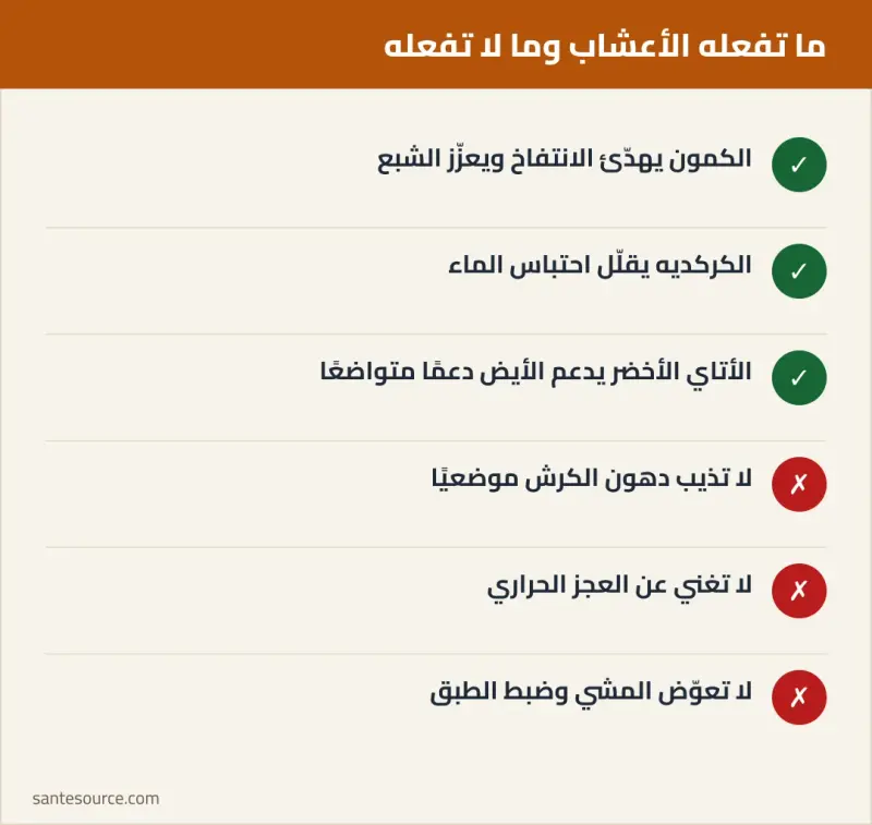 ملخص مرئي: الأعشاب تساعد على الهضم والشبع وتدعم عجزًا حراريًا لكنها لا تذيب دهون البطن موضعيًا وحدها
