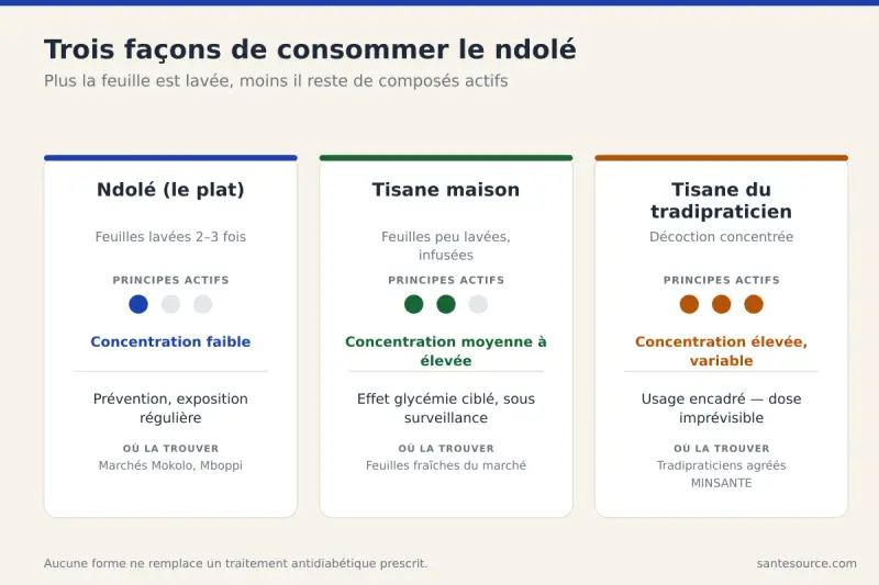 Comparaison ndolé en plat, tisane de feuilles et tisane concentrée du tradipraticien pour le diabète