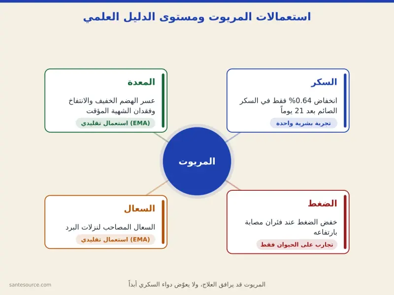 خريطة ذهنية لاستعمالات عشبة المريوت بالمغرب: السكر والمعدة والسعال والضغط، مع مستوى الدليل لكل استعمال