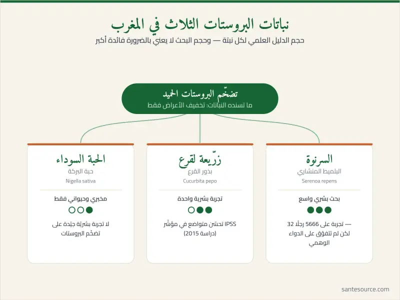 خريطة ذهنية لنباتات البروستات المغربية: السرنوة وزرّيعة لقرع والحبة السوداء ومستوى الدليل العلمي لكل منها