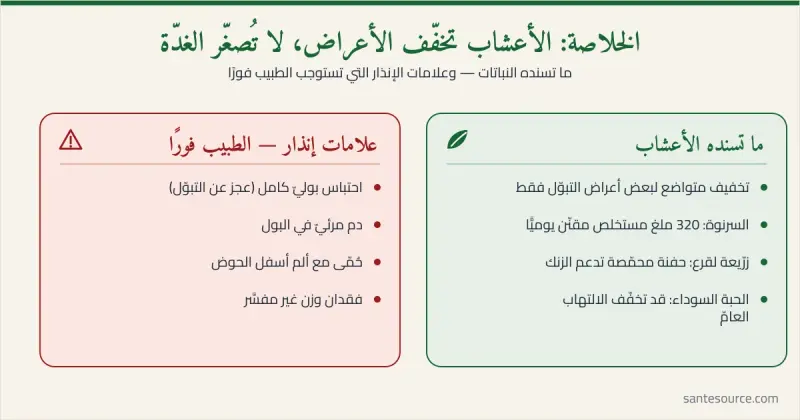 ملخّص متى تكفي الأعشاب ومتى يصبح طبيب المسالك ضرورة في تضخّم البروستات