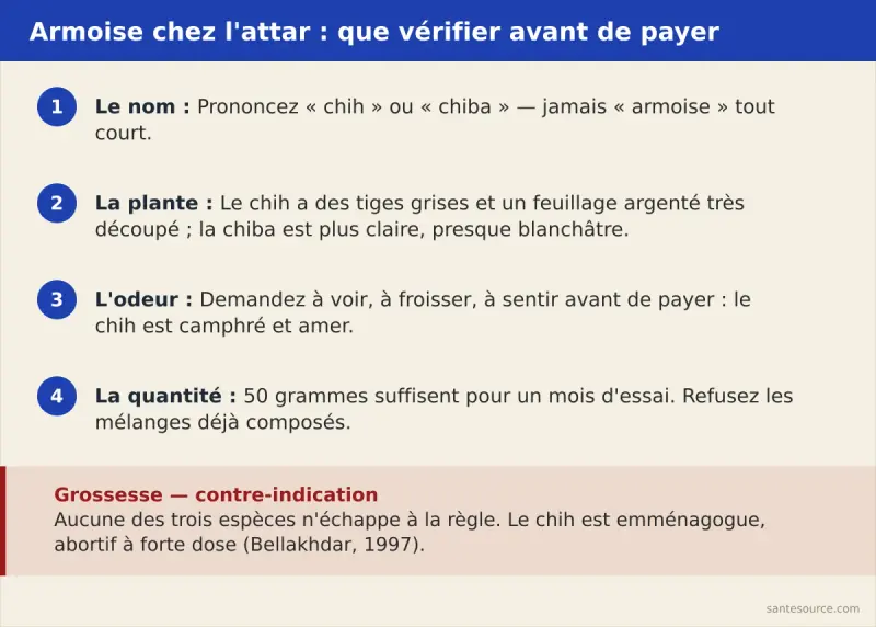 Récapitulatif des vérifications à faire avant d'acheter de l'armoise chez l'attar au Maroc : nom prononcé, aspect de la plante, odeur, quantité et contre-indication grossesse