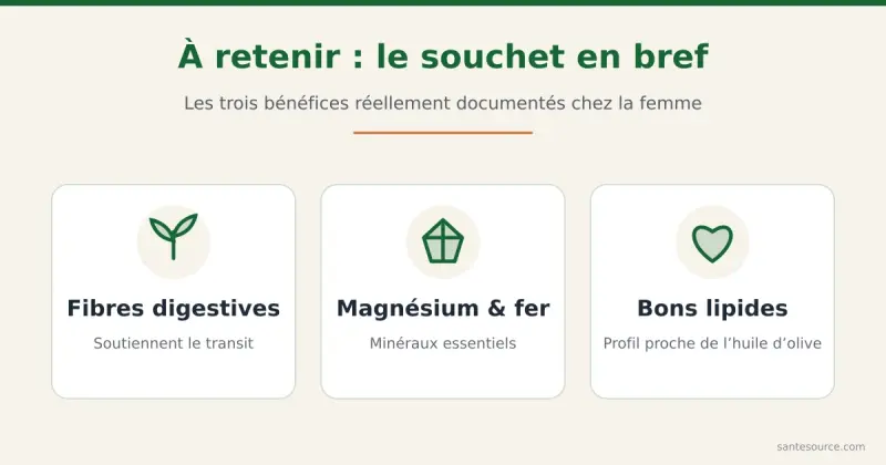 Récapitulatif des trois bienfaits du souchet réellement documentés chez la femme : fibres digestives, magnésium et fer, profil lipidique de qualité