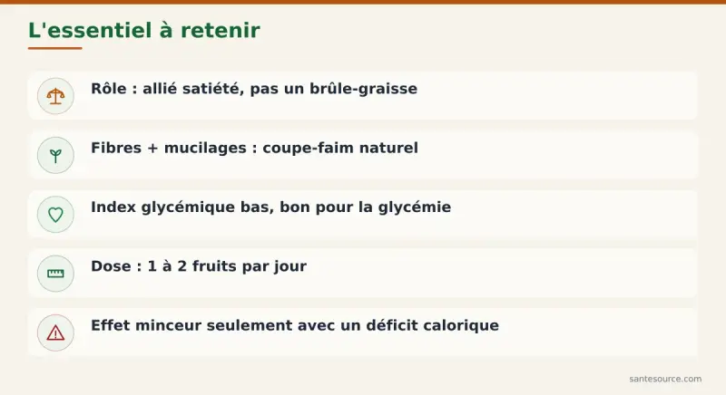 Récapitulatif : figue de barbarie et minceur au Maroc, dose, bienfaits réels et limites en un coup d'œil