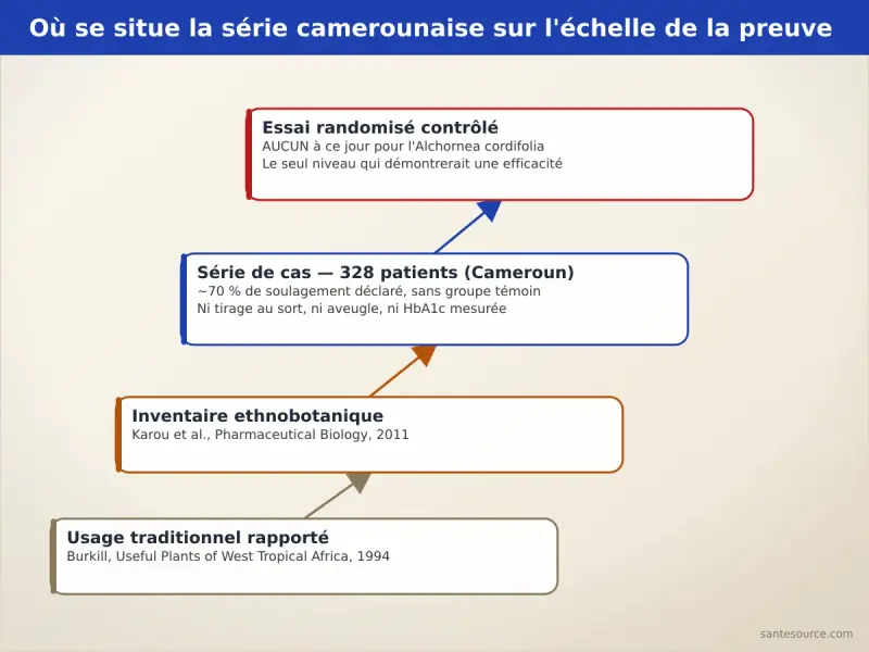 Échelle des niveaux de preuve : usage traditionnel, inventaire ethnobotanique, série de cas de 328 patients, essai randomisé absent pour l'Alchornea cordifolia