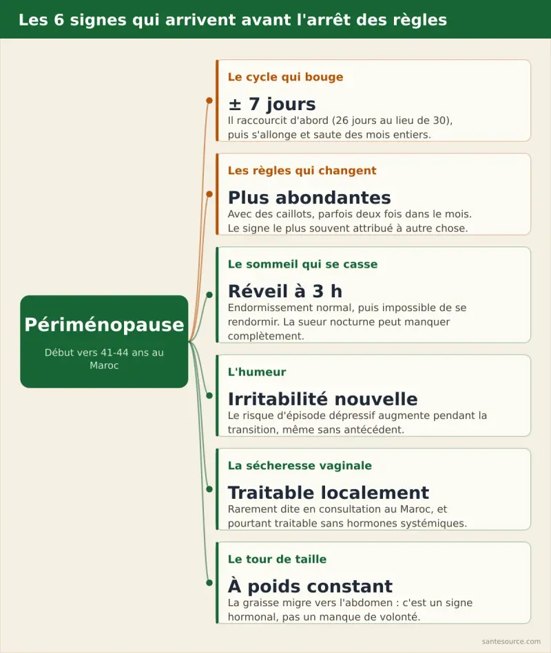 Carte mentale des six premiers signes de la périménopause : cycle irrégulier, règles abondantes, réveil nocturne, irritabilité, sécheresse vaginale, tour de taille