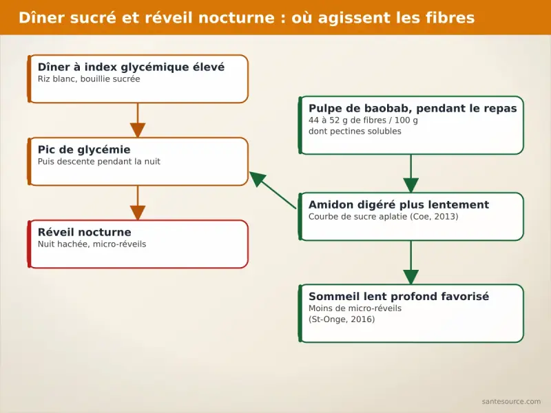 Schéma du pic de glycémie après un dîner sucré, de la chute nocturne qui réveille, et de l'effet aplatissant des fibres du baobab