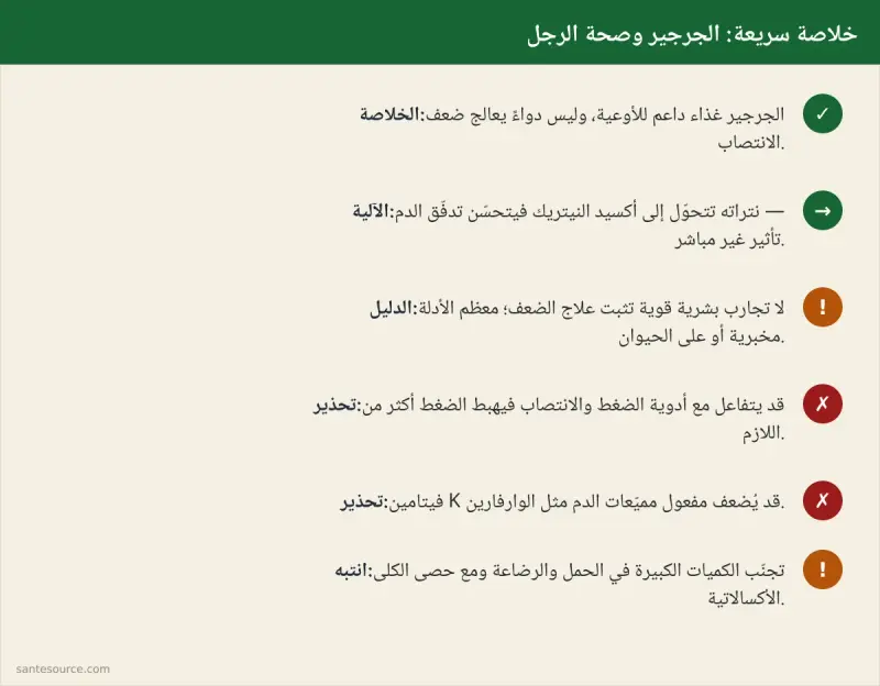 ملخّص سريع: الجرجير غذاء داعم للأوعية لا دواء، مع أبرز التحذيرات والتفاعلات