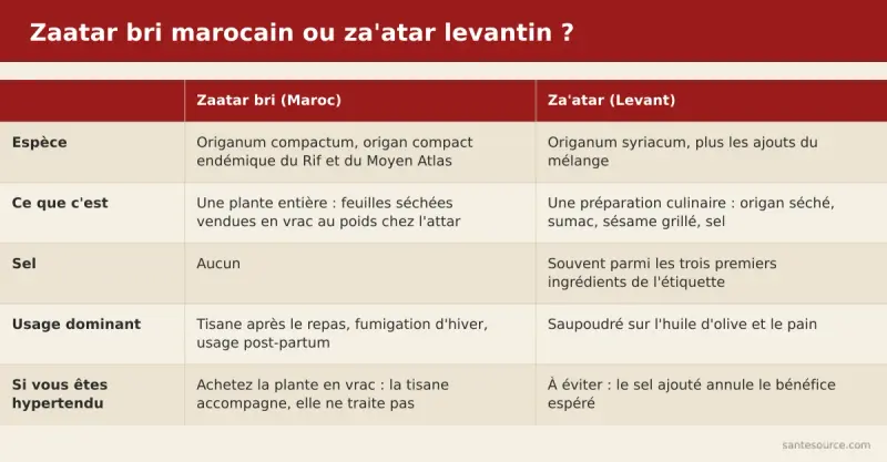 Comparaison entre le zaatar bri marocain (Origanum compactum, feuilles séchées) et le za'atar levantin (mélange thym, sumac, sésame, sel)