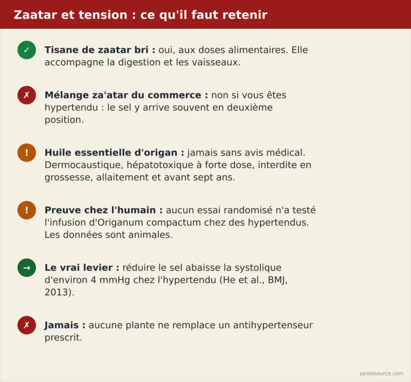 Récapitulatif : ce que le zaatar bri fait et ne fait pas pour la tension artérielle au Maroc