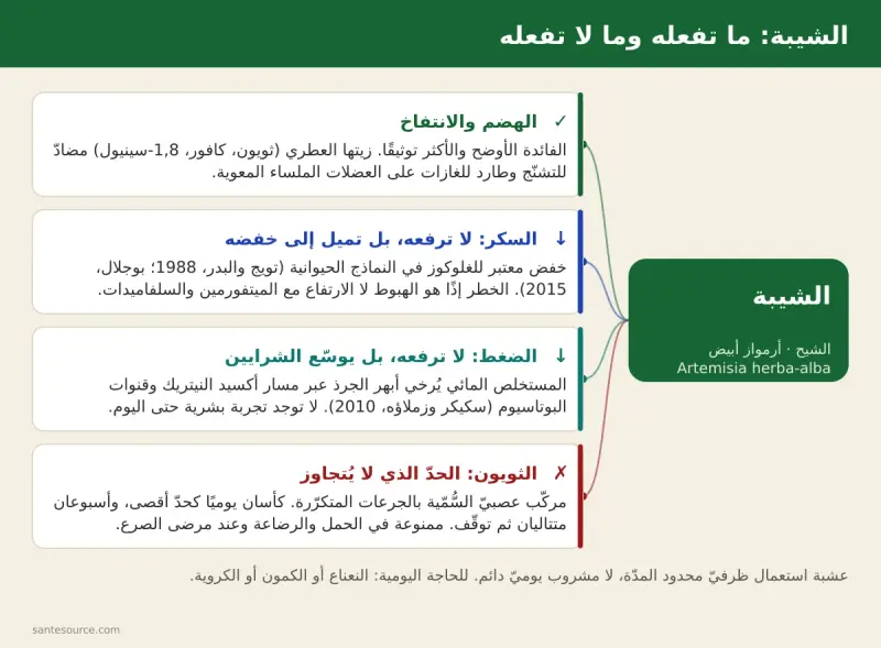 خريطة ذهنية لفوائد الشيبة المغربية: الهضم، السكر، الضغط، وحدود الثويون