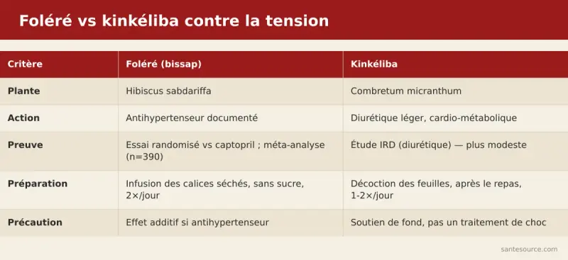 Comparaison côte à côte du foléré (bissap) et du kinkéliba pour faire baisser la tension