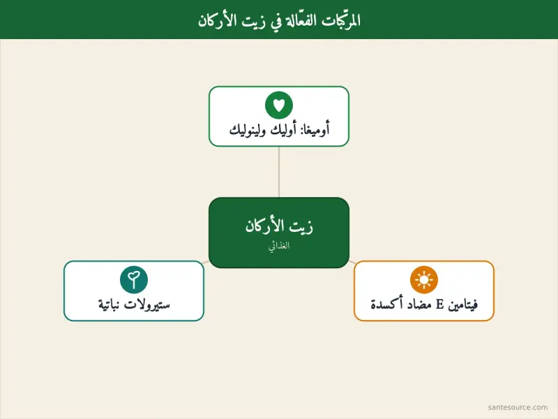 خريطة ذهنية للمركّبات الفعّالة في زيت الأركان: الأحماض الدهنية وفيتامين E والستيرولات النباتية