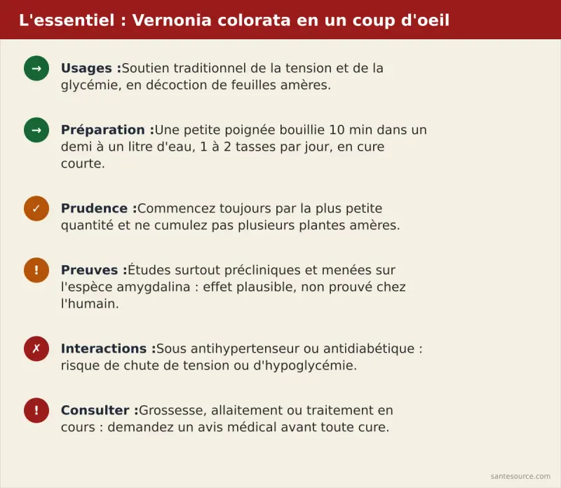 Récapitulatif des usages traditionnels, de la posologie prudente et des précautions du Vernonia colorata
