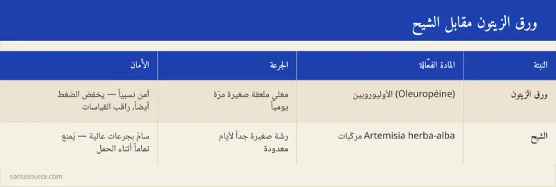 بطاقة مقارنة بين ورق الزيتون والشيح: المادة الفعّالة والجرعة والأمان