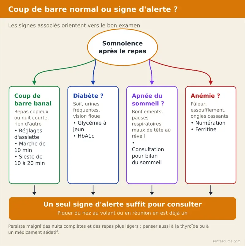 Arbre de décision : somnolence après le repas normale ou signe d'alerte orientant vers diabète, apnée du sommeil, anémie ou thyroïde