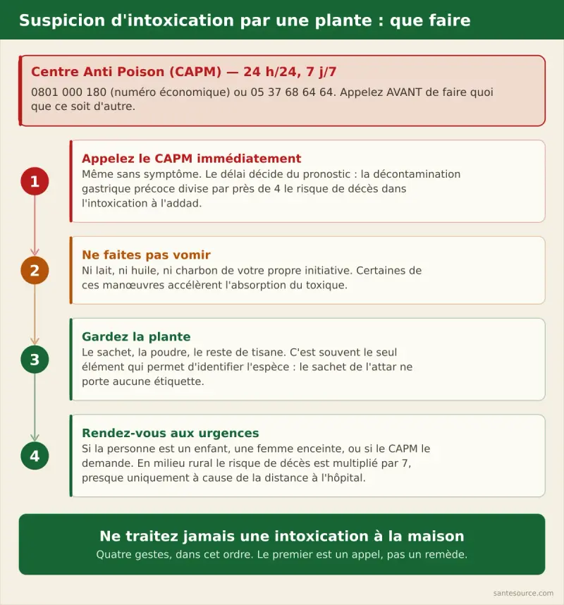 Arbre de décision en cas de suspicion d'intoxication par une plante au Maroc : appeler le CAPM au 0801 000 180, ne pas faire vomir, conserver la plante, se rendre aux urgences