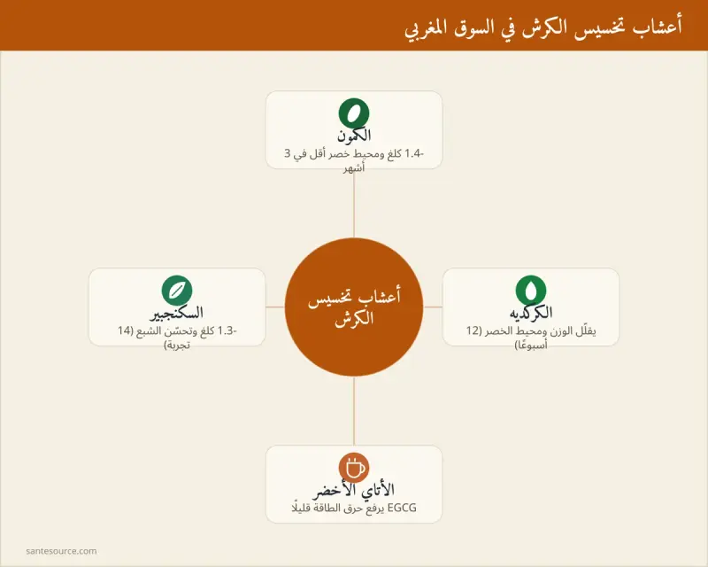 خريطة ذهنية لأربع أعشاب تخسيس الكرش بالمغرب: الكمون والكركديه والأتاي الأخضر والسكنجبير