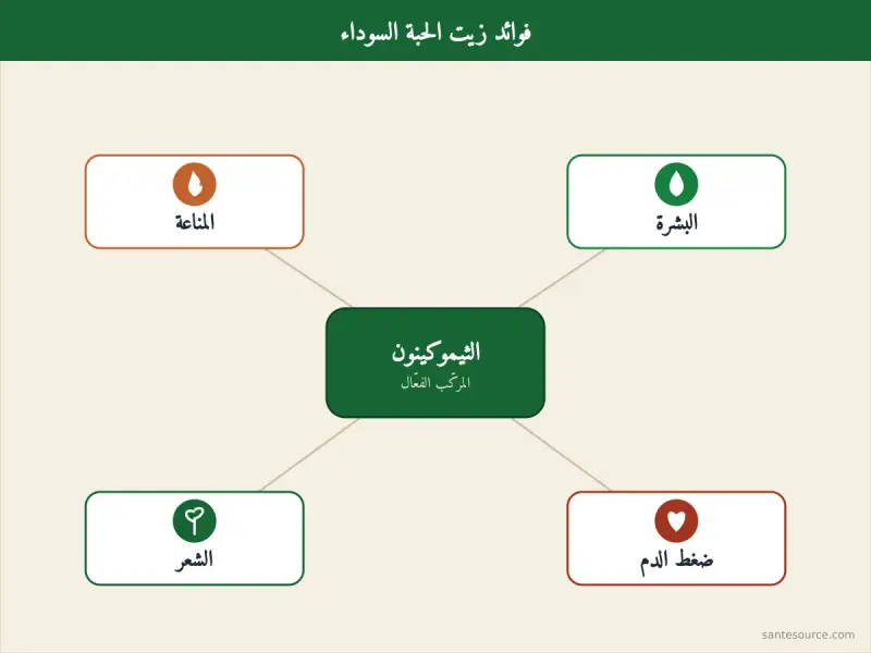 خريطة ذهنية لفوائد زيت الحبة السوداء: المناعة، البشرة، الشعر، ضغط الدم، مع الثيموكينون في المركز