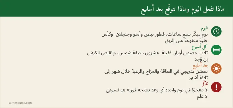 ملخص بروتوكول الأسابيع لرفع التستوستيرون طبيعيًا بالمطبخ المغربي
