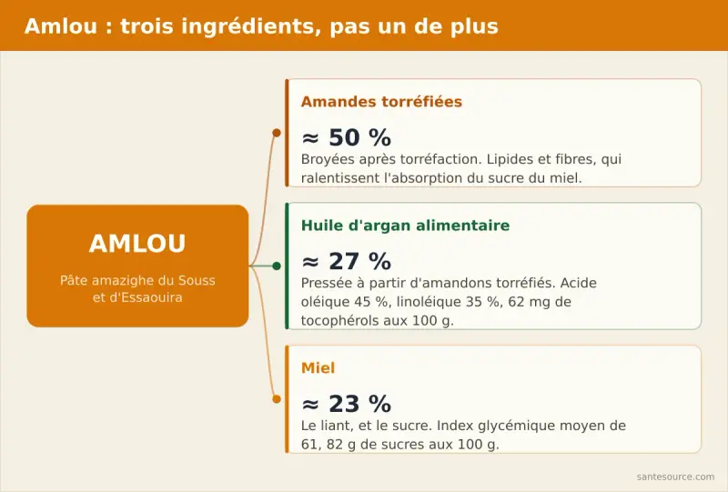 Carte mentale de l’amlou du Souss : amandes torréfiées, huile d’argan alimentaire et miel, avec leurs apports respectifs