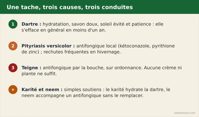 Récapitulatif : la dartre se soigne par hydratation et patience, le pityriasis versicolor par un antifongique local, la teigne par un antifongique oral sur ordonnance, karité et neem en simples soutiens