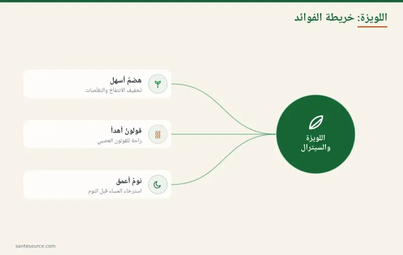 خريطة ذهنية تلخّص فوائد اللويزة للهضم والقولون العصبي والنوم عبر مركّب السيترال