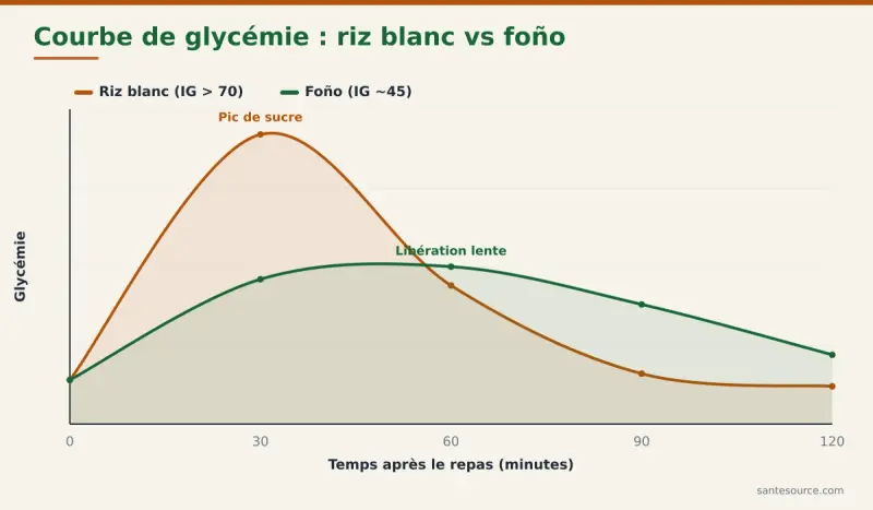 Courbe de glycémie comparée après un repas de riz blanc et un repas de foño à index glycémique bas
