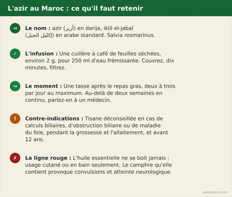 Récapitulatif azir : nom en darija أزير, infusion 2 g pour 250 ml dix minutes, deux à trois tasses par jour, contre-indication calculs biliaires et grossesse, huile essentielle jamais par voie orale