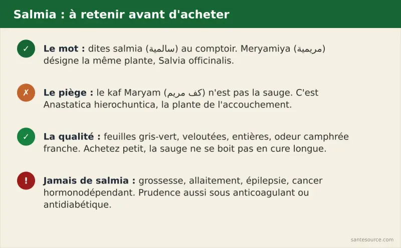 Récapitulatif salmia : le nom à prononcer chez l'attar, les signes d'une feuille de qualité, et les quatre contre-indications de la sauge au Maroc