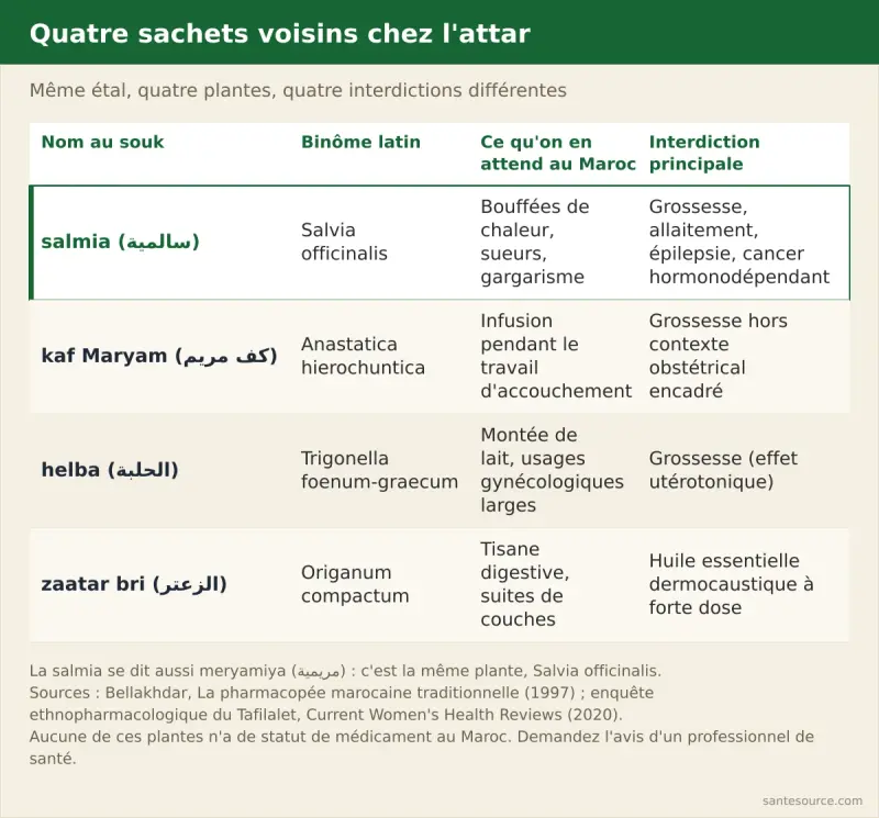 Comparaison de quatre plantes de l'attar marocain : salmia (Salvia officinalis), kaf Maryam (Anastatica hierochuntica), helba (Trigonella foenum-graecum) et zaatar bri (Origanum compactum), avec leur usage et leur interdiction principale