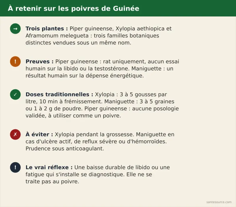 Récapitulatif des points clés : qui est qui parmi les poivres de Guinée, doses traditionnelles et contre-indications