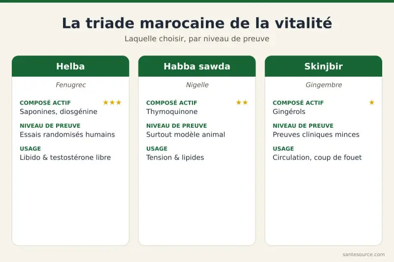 Comparaison de la helba, de la habba sawda et du skinjbir pour la testostérone et la libido masculine au Maroc