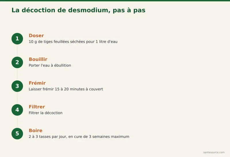 Étapes de préparation de la décoction de desmodium : dosage, ébullition, filtrage