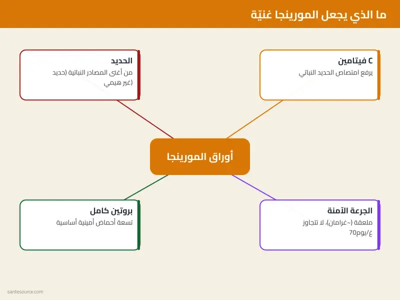 خريطة ذهنية لفوائد المورينجا للصحة بالمغرب: الحديد والطاقة وفقر الدم وفيتامين C مع الجرعة الآمنة