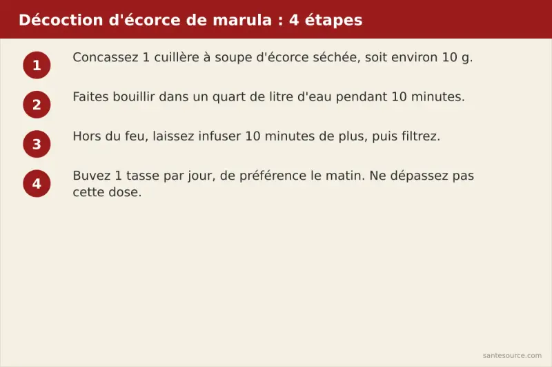 Étapes de préparation de la décoction d'écorce de marula : concasser, faire bouillir dix minutes, infuser, filtrer, une tasse par jour