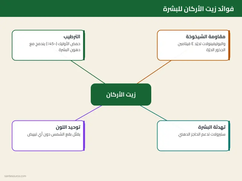 خريطة ذهنية لفوائد زيت الأركان للبشرة: الترطيب ومقاومة الشيخوخة وتوحيد اللون ومكوّناته الفعّالة