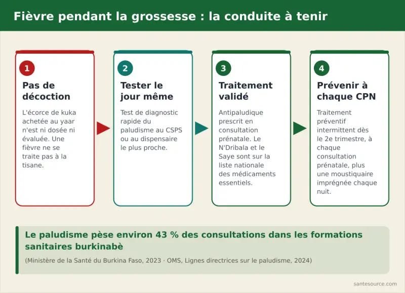 Arbre de décision : fièvre pendant la grossesse au Burkina Faso, test de paludisme au CSPS, traitement validé, moustiquaire imprégnée