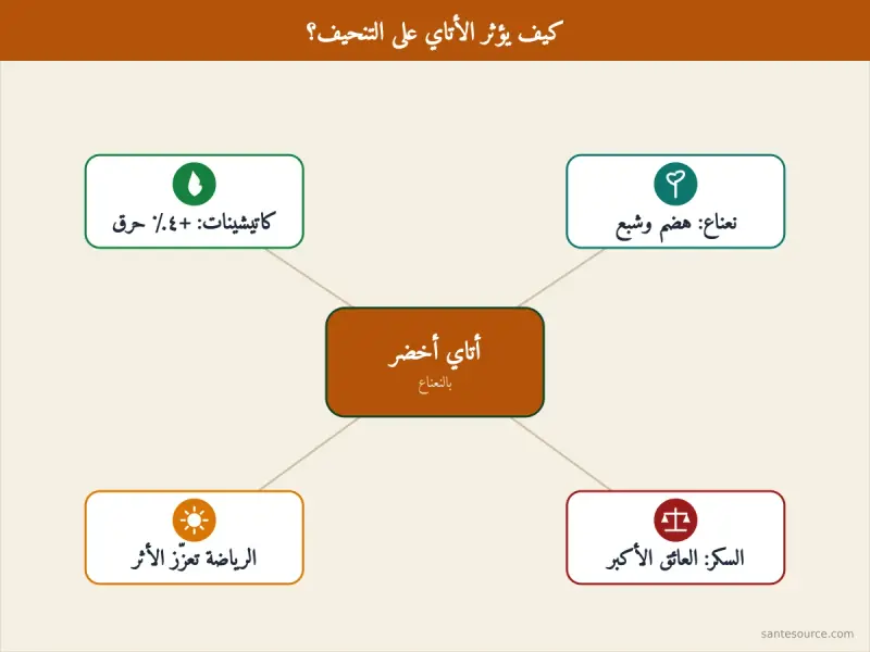 خريطة ذهنية تلخّص كيف يدعم أتاي الأخضر بالنعناع التنحيف عبر الكاتيشينات والنعناع مع تحذير السكر