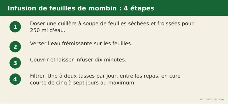 Quatre étapes de préparation de l'infusion de feuilles de mombin : doser, verser l'eau frémissante, couvrir dix minutes, filtrer