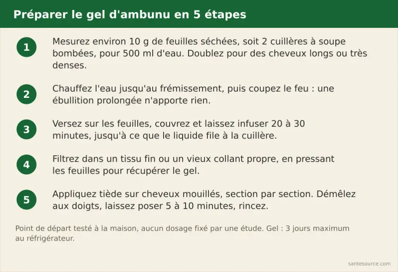 Cinq étapes de préparation du gel d'ambunu : 10 g de feuilles, 500 ml d'eau frémissante, 20 à 30 minutes d'infusion, filtrage dans un tissu, application sur cheveux mouillés