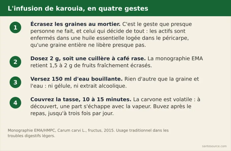 Les quatre étapes de préparation d'une infusion de carvi : écraser les graines, doser 2 grammes, verser 150 ml d'eau bouillante, couvrir dix minutes