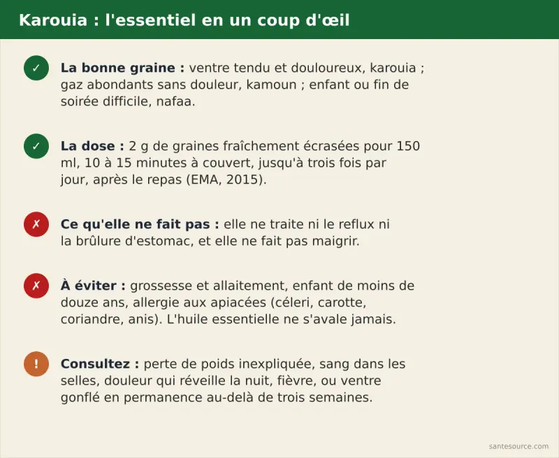 Récapitulatif : quelle graine marocaine pour quel symptôme digestif, dosage de l'infusion de karouia et signes qui imposent une consultation