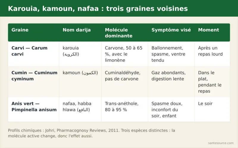 Comparaison des trois graines de l'attar marocain : karouia (carvi), kamoun (cumin) et nafaa (anis vert), avec leur molécule active et leur symptôme cible