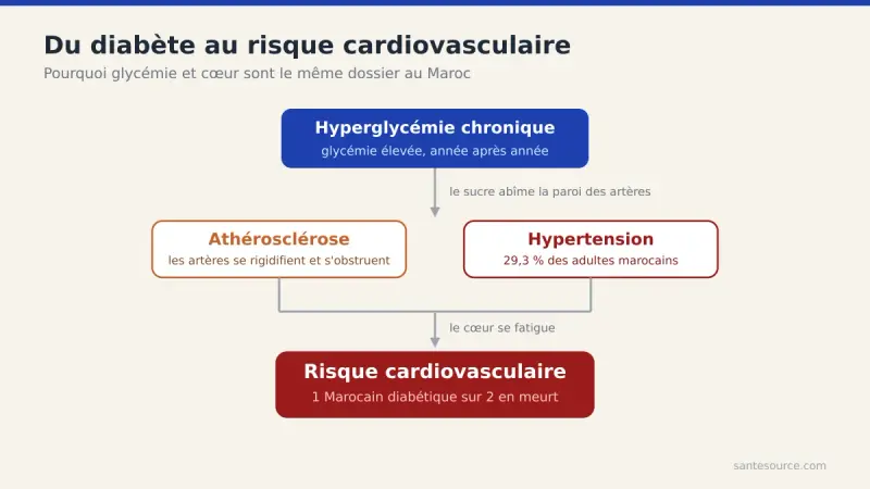 Schéma reliant l'hyperglycémie chronique à l'athérosclérose, l'hypertension et le risque cardiovasculaire chez le patient diabétique marocain